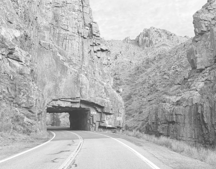 Fort Collins Landscape